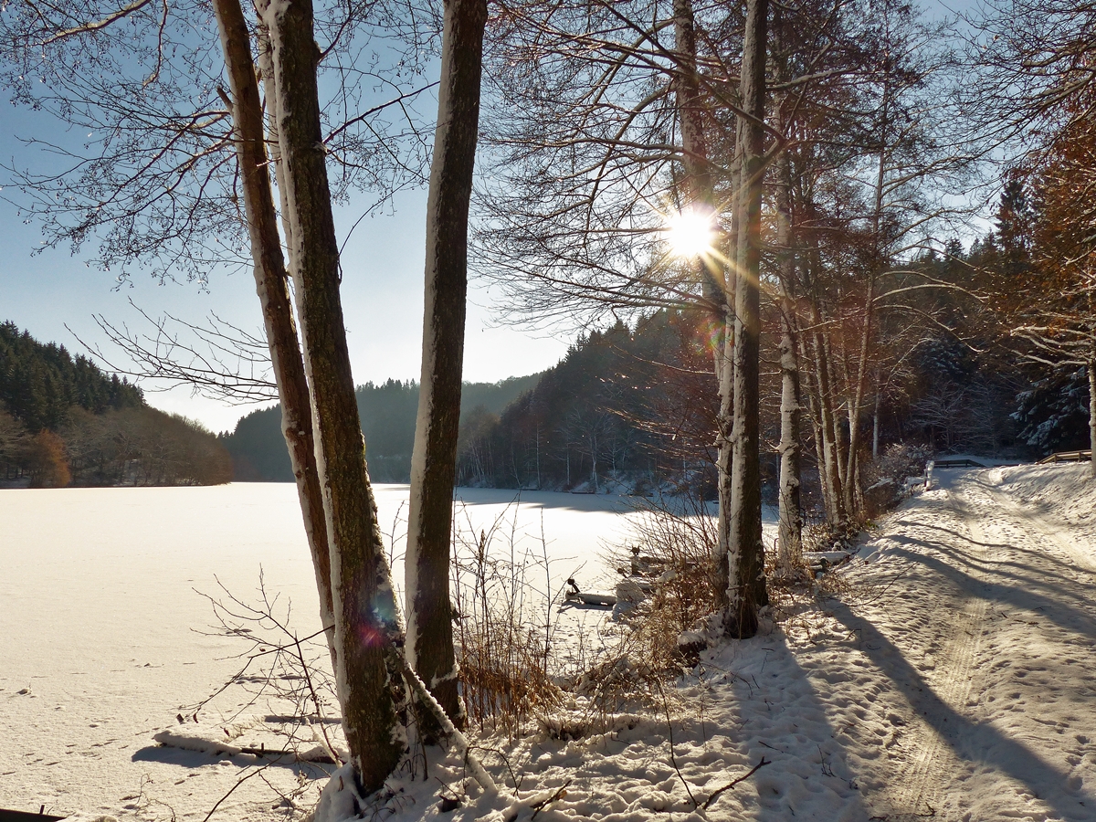 . Die knackigen -10 werden durch die morgendliche Wintersonne des 18.01.2017 etwas abgemildert. (Jeanny)