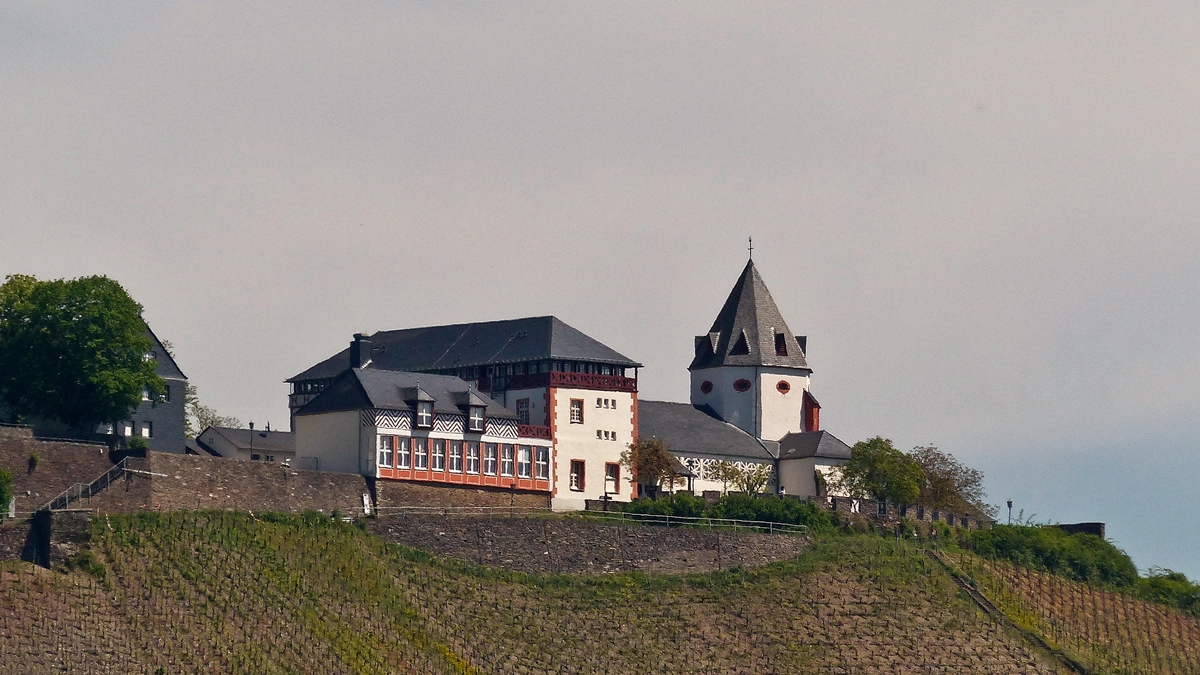 . Die Marienburg von Pnderich aus gesehen am 13.05.2015. (Jeanny)

Die Marienburg liegt auf den letzten Auslufern von Zell (Mosel) bei Pnderich, Alf und Bullay an der Mosel, genauer an einer Verengung der fast 14 km langen Moselschleife des Zeller Hamms. Das ehemalige Augustinerinnenkloster wurde 1515 aufgelst und in eine Befestigungsanlage umgewandelt. Sie dient heute als Jugendbildungssttte des Bistums Trier. 

Die Marienburg liegt auf dem Petersberg, einer Anhhe in der Moselschleife von Zell und Kaimt. Auf zwei Seiten fliet zu Fen des Petersberges die Mosel. Die umgebenden Hnge werden fr den Weinbau genutzt.
