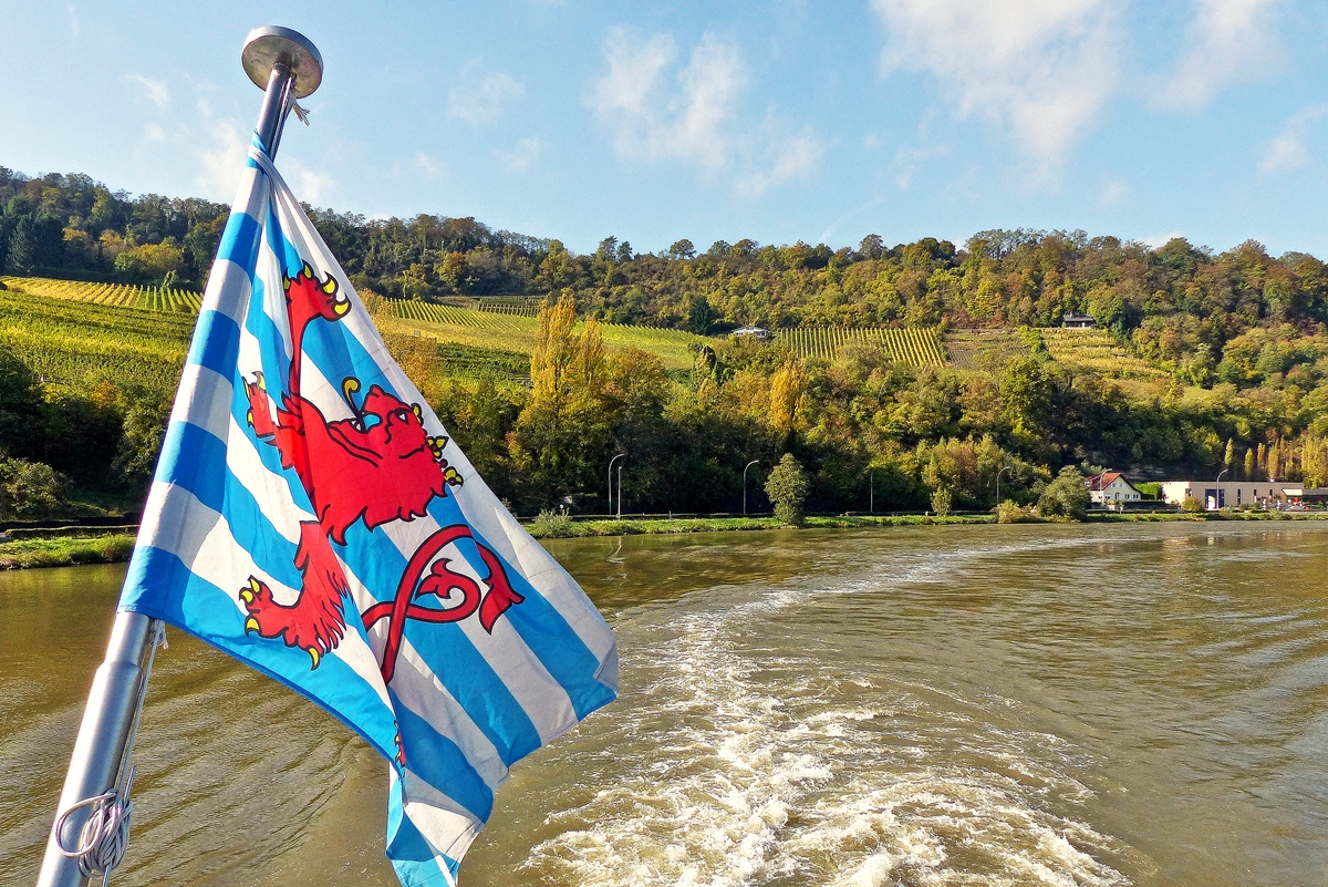 . Herbst an der Mosel - Meechtem, 19.10.2014 (Jeanny)