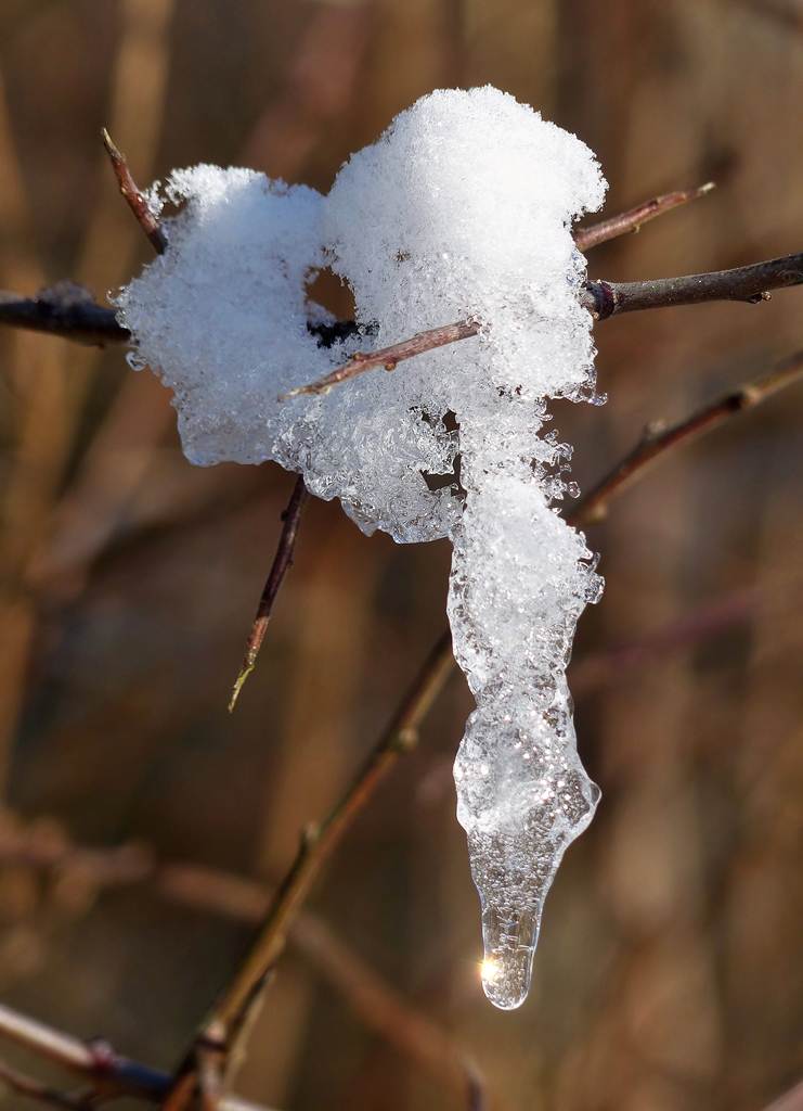 . Mit diesem funkelnden Gebilde aus Schnee und Eis wnschen wir Euch allen einen guten Rutsch und ein erfolgreiches Neues Jahr. Hans und Jeanny