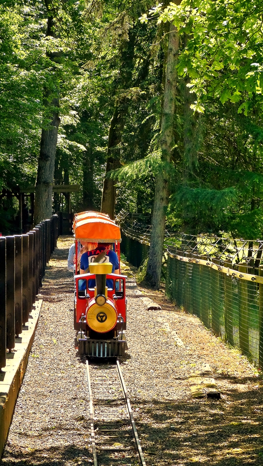 . Parc Merveilleux Bettembourg - Petit train. 17.05.2014 (Jeanny)