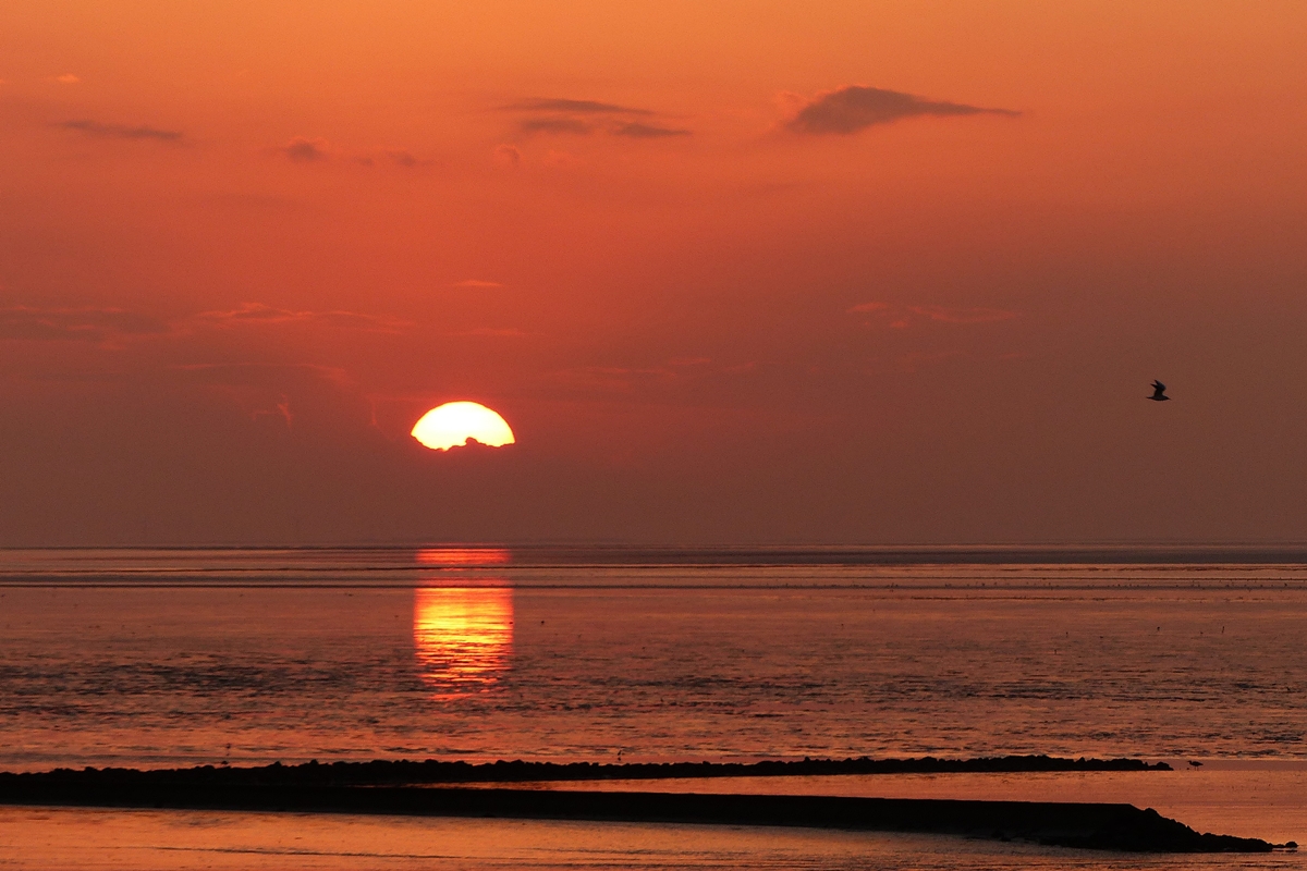 . berwltigend - Norddeich, 10.10.2014 (Jeanny)