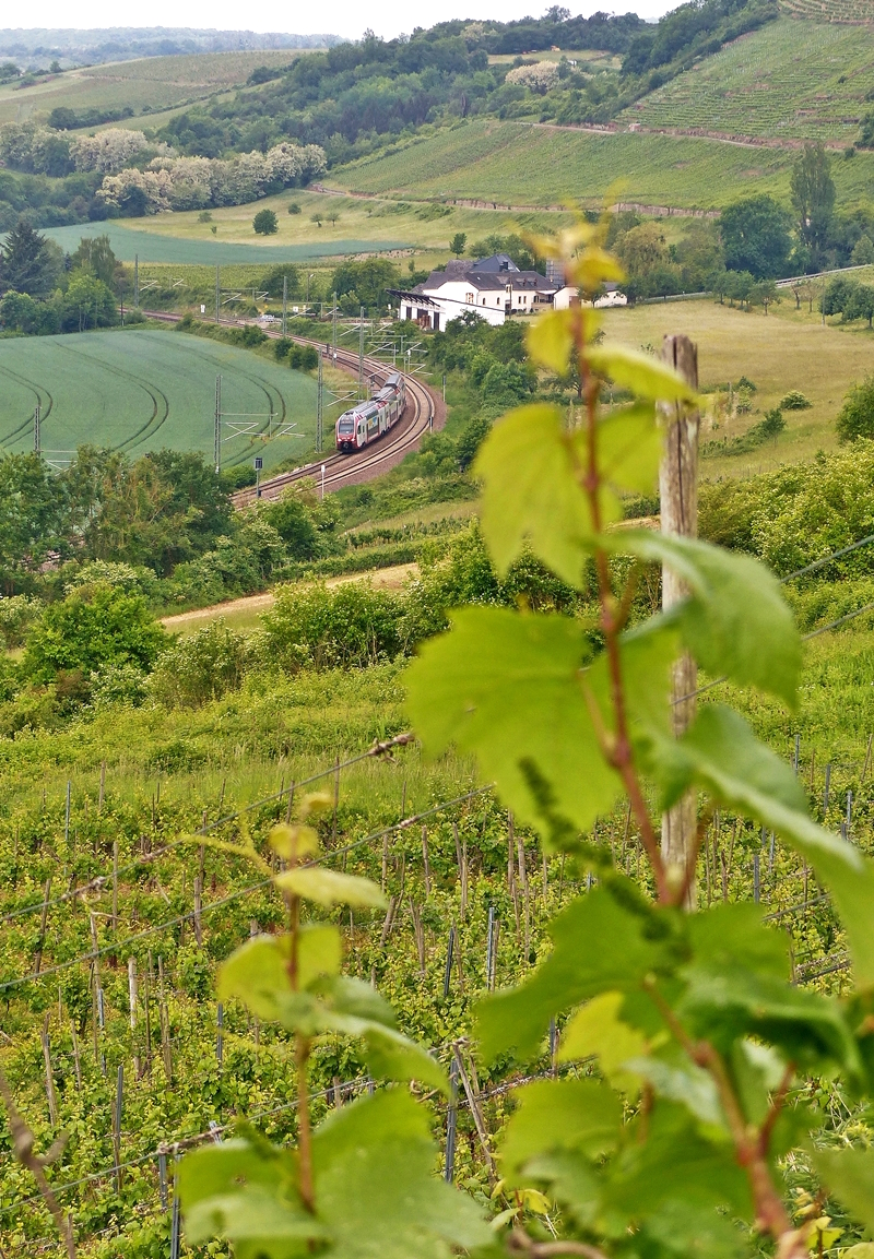 . Whrend der junge Wein am Grutenhuschen wchst und gedeiht, fhrt am 20.05.2018 ein CFL KISS zwischen Wasserbilligerbrck und Igel in Richtung Trier auf seiner Reise von Luxembourg nach Koblenz. (Jeanny)