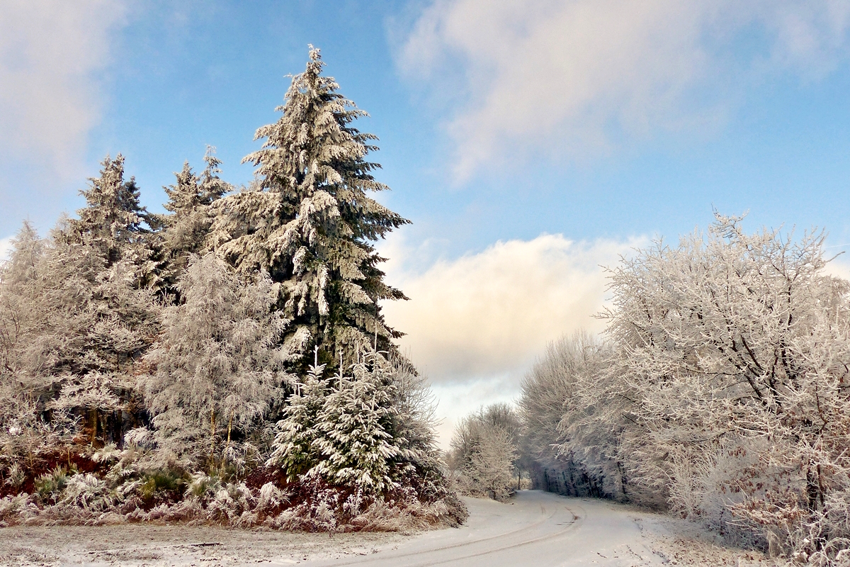 . Winterliche Landschaft in der Nhe von Wiltz. 03.01.2017 (Jeanny)