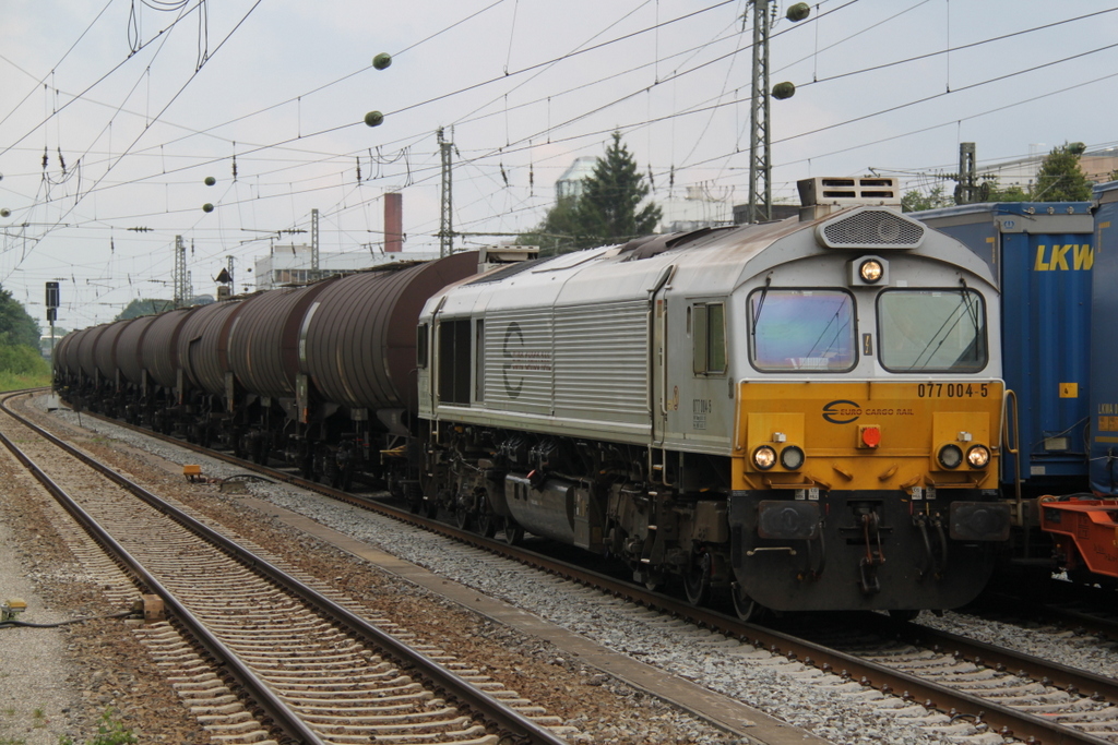 077 004-5 mit Kesselzug nach Mühldorf bei der Durchfahrt in München-Heimeranplatz.26.07.2016