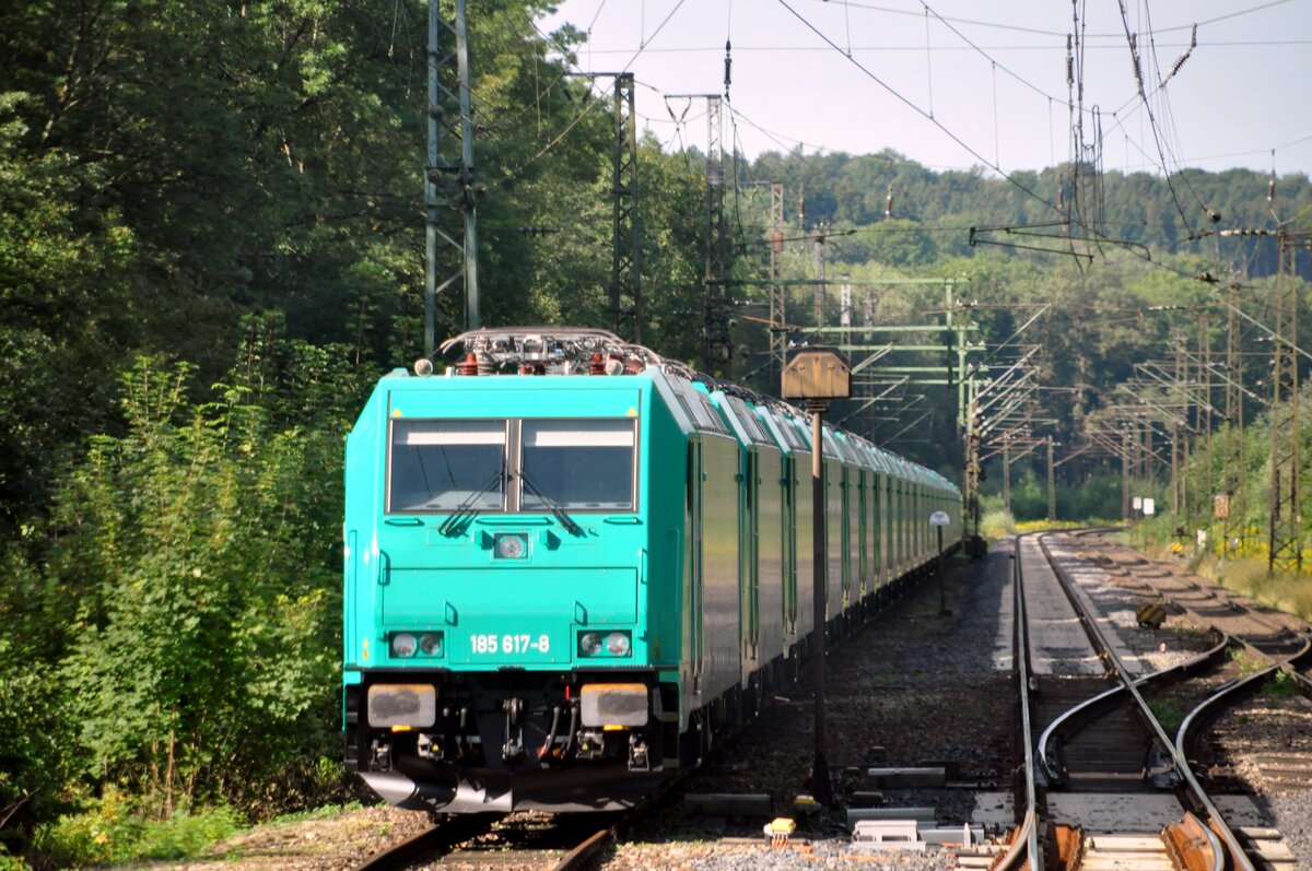 185 Pool nagelneuer Loks bei Neuoffingen am 25.08.2010.