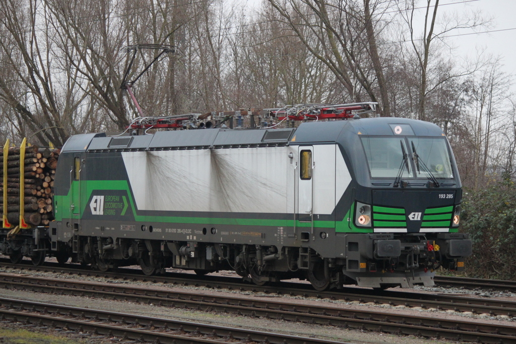 193 285-4(ELOC)stand mit dem Holzzug von Rostock-Bramow nach Stendal-Niedergörne am Mittag des 06.01.2018 in Rostock-Bramow.