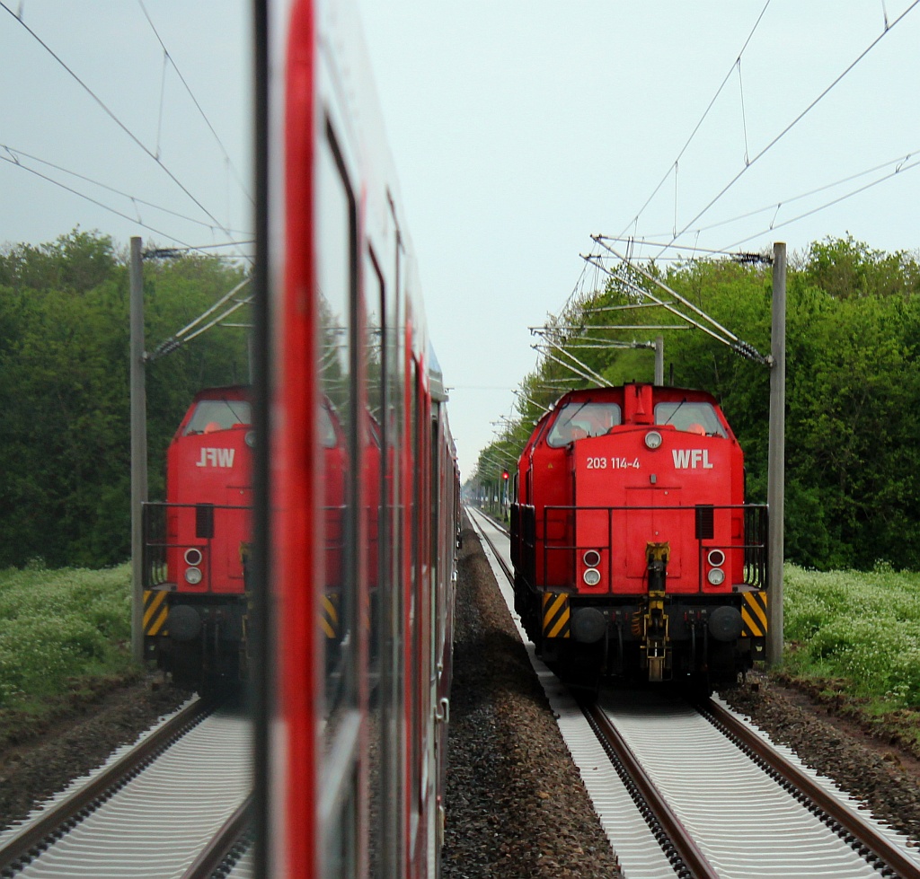 203 114-4 von WFL war die Schwesterlok der 203 113-6 aus dem vorherigen Bild(aufgenommen aus dem SH-Express). Elmshorn/Neumünster 17.05.12