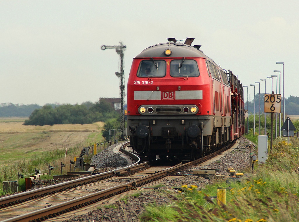 218 319-2 und 311-9 rauschen am Bü Lehnshallig vorbei Richtung Westerland. Niebüll/Lehnshallig 04.08.12