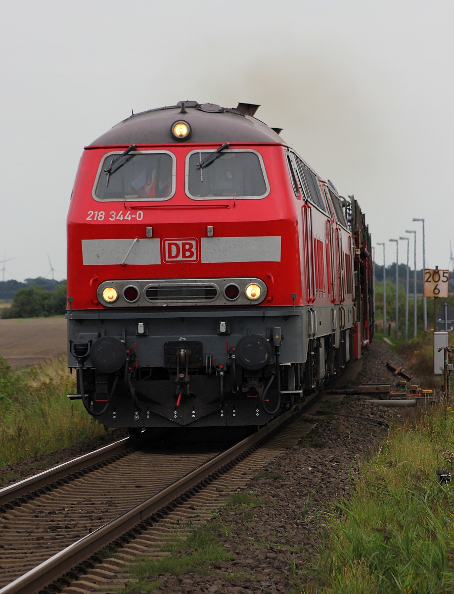 218 344 und 366 mit SyltShuttle nach Westerland. Lehnshallig 26.08.2017