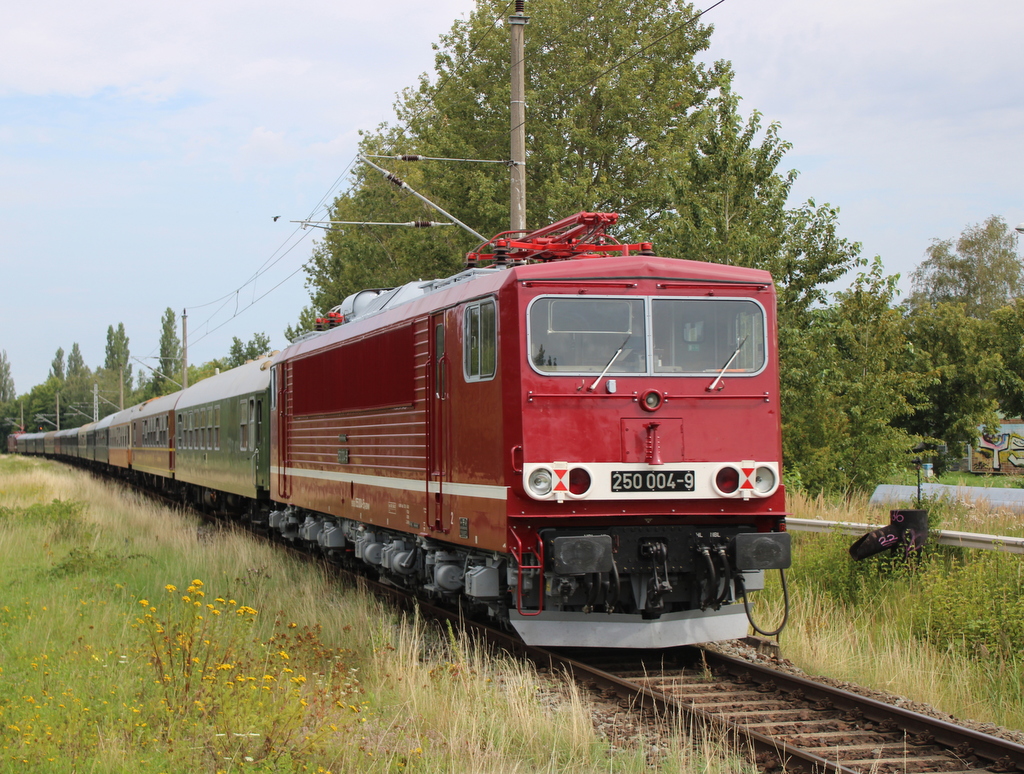 250 004-9 bei der Durchfahrt am 12.08.2023 in Rostock-Lichtenhagen