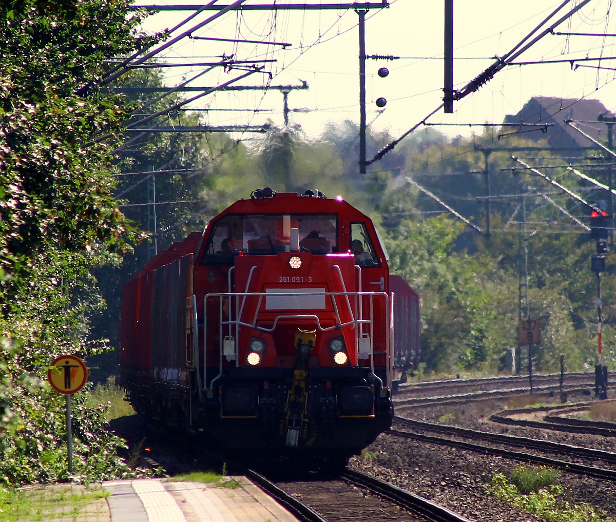 261 091-3 die hier mit einem Holz-Leerzug für Jübek durch Schlesiwg dieselt. 04.09.2014