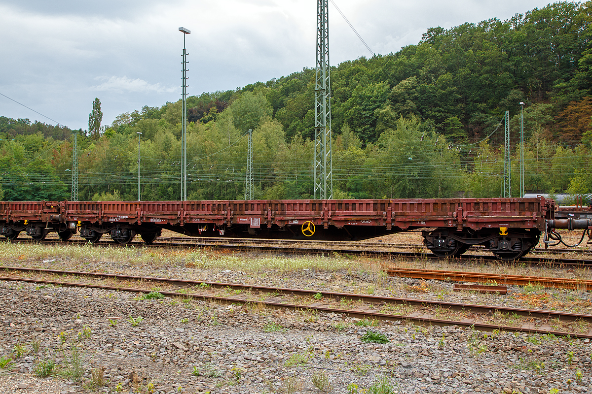 4-achsiger Drehgestell-Flachwagen, mit Seiten- und Stirnwandklappen und mit Rungen, 31 80 3942 618-0 D-DB, der Gattung Res 677, der DB Cargo Deutschland AG, abgestellt am 09.08.2019 in Betzdorf/Sieg.

Mit einer Ladelnge von 18,50 m dienen diese Wagen zur Befrderung von schweren Walzprofilen und von anderen sperrigen und schweren Gtern sowie Fahrzeugen und Schttgtern. Das Untergestell ist als Schweikonstruktion unter Verwendung von Walzprofilen und Blechen ausgebildet. Fr alle tragenden Bauteile wurde Stahl der Gte St 52-3 verwendet. Der Wagen ist mit zwei Stirnwandklappen und mit 18 Seitenwandklappen ausgerstet. Die Klappen sind in Stahlausfhrung hergestellt. Die Stirnwandklappen knnen mit Fahrzeugen bis zu einer Radkraft von 50 kN (5 t) befahren werden. Der Wagen ist auf jeder Wagenlngsseite mit 8 Drehrungen und 8 versenkbaren Gleitrungen ausgerstet. An jeder Wagenstirnseite sind zwei Fallrungen angeordnet. Der Fuboden besteht aus 56 mm dicken Kiefernholzbohlen. Er kann mit Fahrzeugen bis zu einer Radkraft von 50 kN befahren werden. Der Wagen hat keine Ladeschwellen. Mit heruntergeklappten Seitenwnden kann der Wagen nur mit Lademaberschreitung befrdert werden. Der Wagen ist mit einer vom Boden aus bedienbaren Feststellbremse ausgerstet, die auf alle 4 Radstze wirkt.

TECHNISCHE DATEN:
Spurweite: 1.435 mm (Normalspur)
Gattung/Bauart: Res 677
Anzahl der Achsen: 4 in 2 Drehgestellen
Lnge ber Puffer: 19.900 mm
Drehzapfenabstand:  14.860 mm
Achsabstand in den Drehgestellen: 1.800 mm
Eigengewicht: 24.600 kg
Ladelnge: 18.500 mm
Ladeflche: 48,8 m
Hhe Fuboden: 1.247 mm
Maximale Ladegewicht: 55,0 t (Streckenklasse C)
Hchstgeschwindigkeit: 100 km/h (beladen) / 120 km/h (leer)
Kleinster befahrbarer Gleisbogenhalbmesser: R 35 m
Feststellbremse: ja
Bremse: KE-GP (LL)
Bremssohle: IB 116
Intern. Verwendungsfhigkeit:  RIV