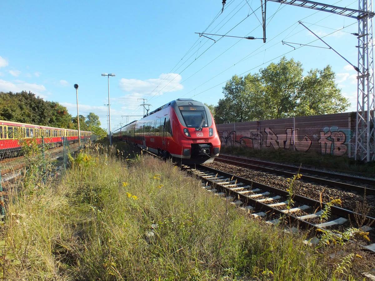 442 127 und 442 328 erreichen am 2.10.13 Berlin-Karlshorst, wo mittlerweile eine regelrechte Nagetierplage ausgebrochen ist.
RB 14 -> Nauen