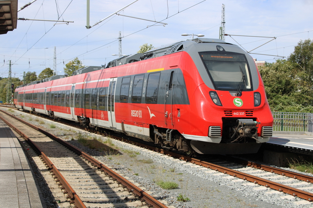 442 337 als S1(Rostock-Warnemünde)kurz vor der Ausfahrt im Rostocker Hbf.23.08.2024