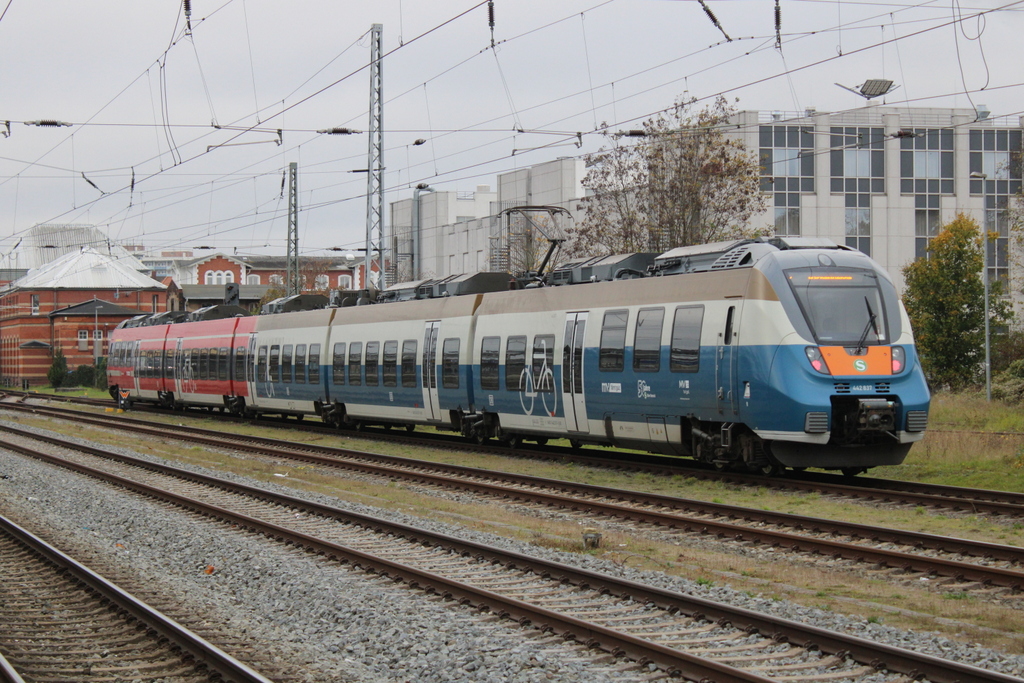 442 837 als S2(Güstrow-Warnemünde)bei der Einfahrt im Rostocker Hbf.01.11.2024