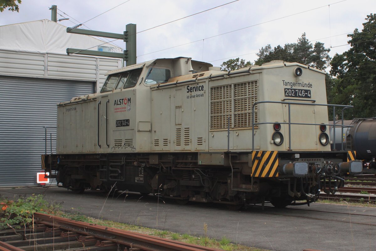 Am grauen 21 September 2025 kann vom offenbarer Weg Transdev Hannover 202 746 in Celle fotografiert werden.