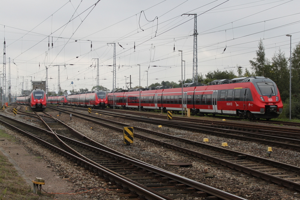 Am Morgen des 03.09.2016 waren 5 DB-Regio Hamster im Rostocker Hbf abgestellt.