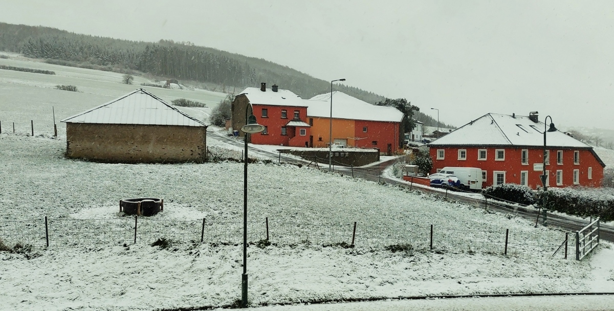 Am Morgen des 27.11.2023 lag der erste Schnee von diesem Winter vor unserer Haustür. (Jeanny)