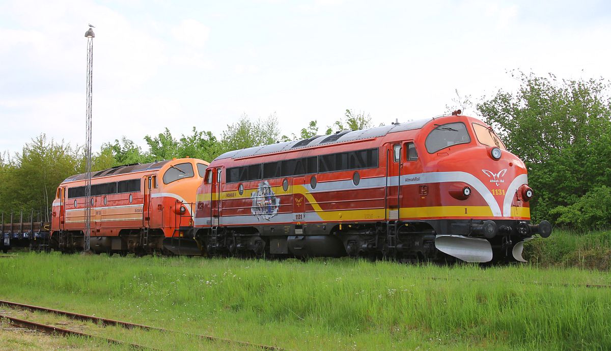 AMR MY 1131 + MjbaD MY 28 (ex DSB MY 1152) warten auf Reparatur Pattburg CFL-C 15.06.2022	
