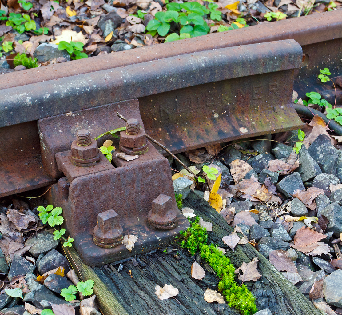 
An einer stillgelegten Weiche in Betzdorf/Sieg am 26.10.2014, Moos wächst auf der Holzschwelle.