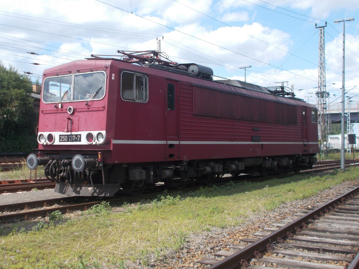 Auch,am 11.August 2019,in Angermünde die LEG 250 137.