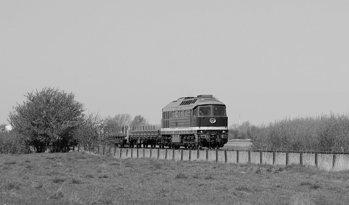 Auf dem Weg zum Dreieckskoog dann ein  Nothalt  am B Diedersbller Strasse kurz vor Klanxbll...da die Ludmilla auf dem Weg nach Niebll war... 05.05.18