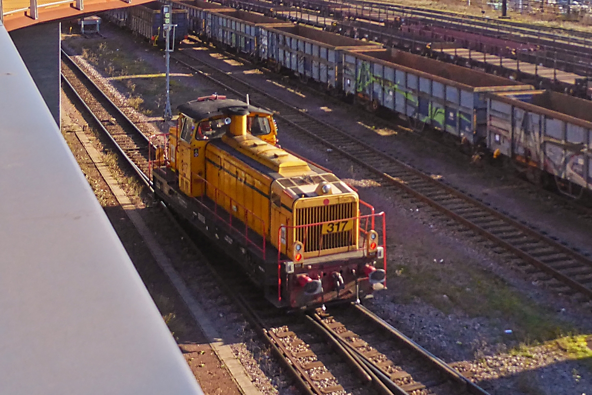 Auf der Wanderung von Esch nach Belvla Universit�, fuhr die CFL Cargo Mak 317, unter dem Velodukt an mir vorbei. 21.11.2025