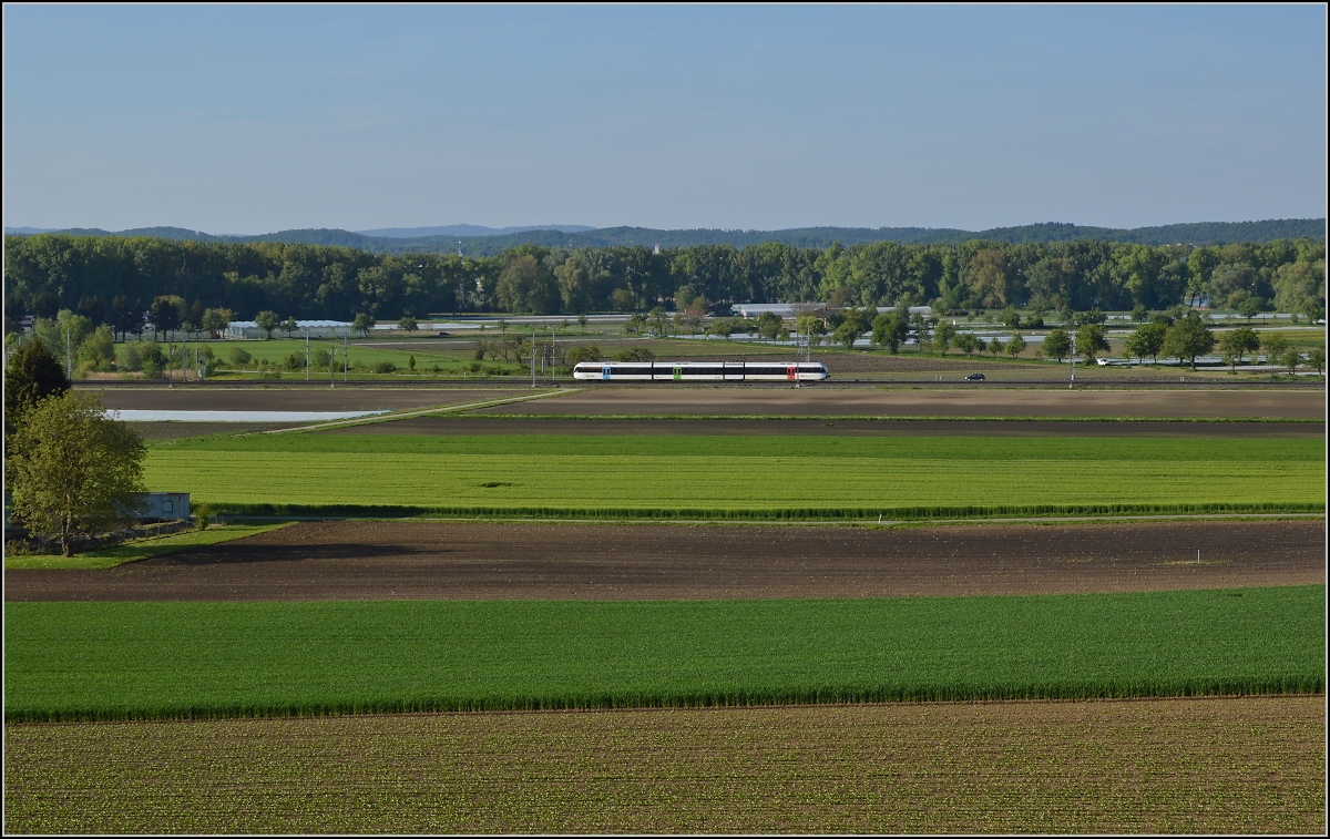 Bahn im Tägermoos. 

S14 Weinfelden-Konstanz mit GTW 2/8 nahe der Abzweigung der Strecken nach Schaffhausen und nach Weinfelden. Die urspüngliche MThB-Strecke verlief allerdings hier schon am Berg direkt in der Nähe des Fotostandorts, seit 2001 verläuft der Verkehr über die neugebaute Doppelspurstrecke bis zum Bahnhof Kreuzlingen Bernrain. Mai 2014.