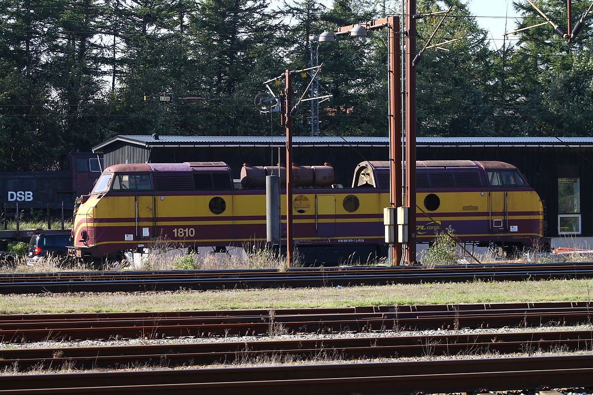 Belüftung ist alles....Arbeiten am Motor der CFL Cargo 1810 erforderten hier das abnehmen der Dachhauben. Padborg 03.10.2013