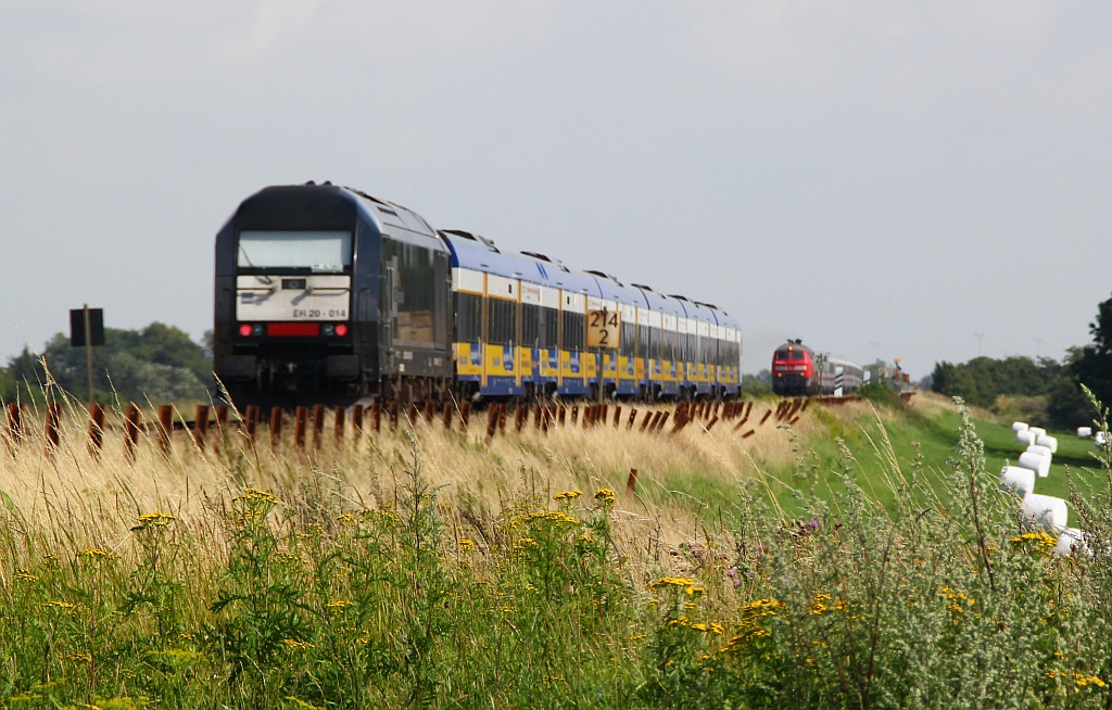 Bewusst unscharf gehalten und fotografiert worden sind hier die NOB von und der IC nach Westerland. Klanbüll/Dreieckskoog 04.08.12