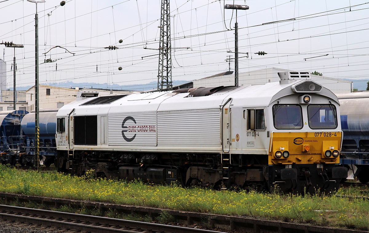 Bild 1: ECR/DB 077 028-4 wartet hier auf die Weiterfahrt zur Tankstelle am Stellwerk Neuwied. 17.09.2021