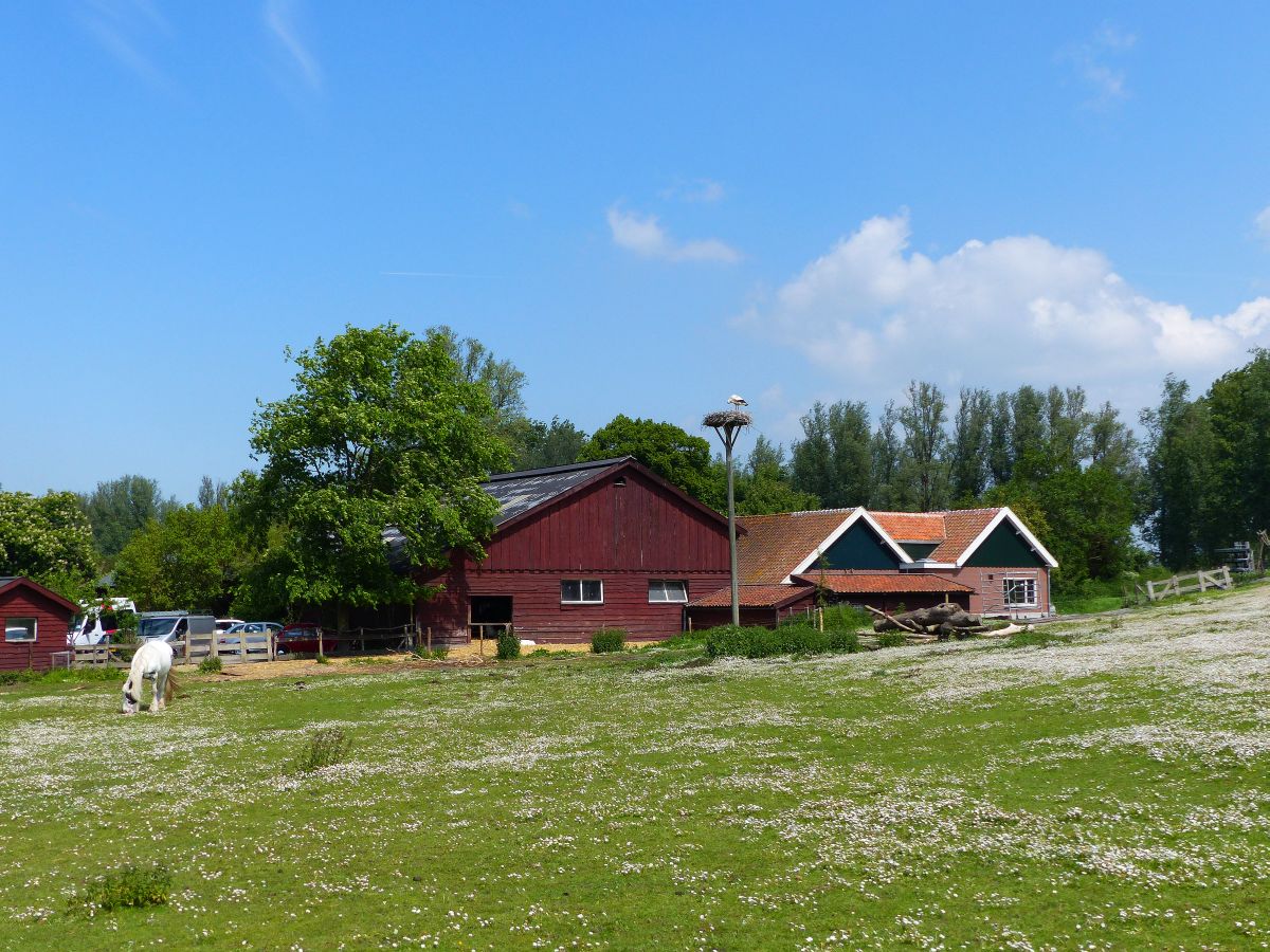 Bio-Bauernhof 't Geertje, Zoeterwoude 22-05-2019.

Biologische boerderij 't Geertje, Zoeterwoude 22-05-2019.