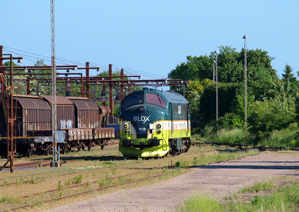 BLDX Litra MX 1019 dieselte am 04.06.2010 gemütlich bei bestem Wetter durch den Gbf Padborg.