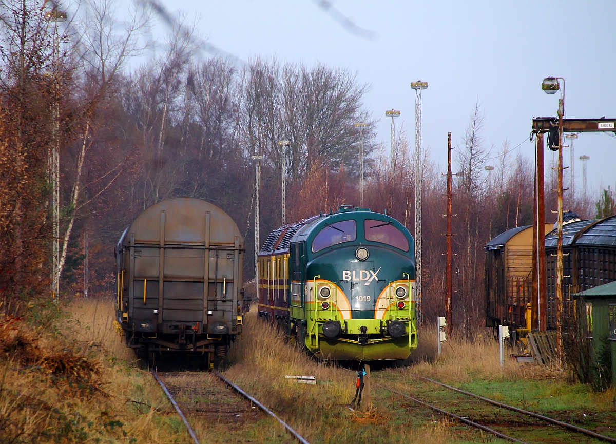 BLDX MX 1019 steht zusammen mit zwei CFL 1800er Loks im Bereich der Contec-Werkstatt in Padborg abgestellt. 02.12.2013