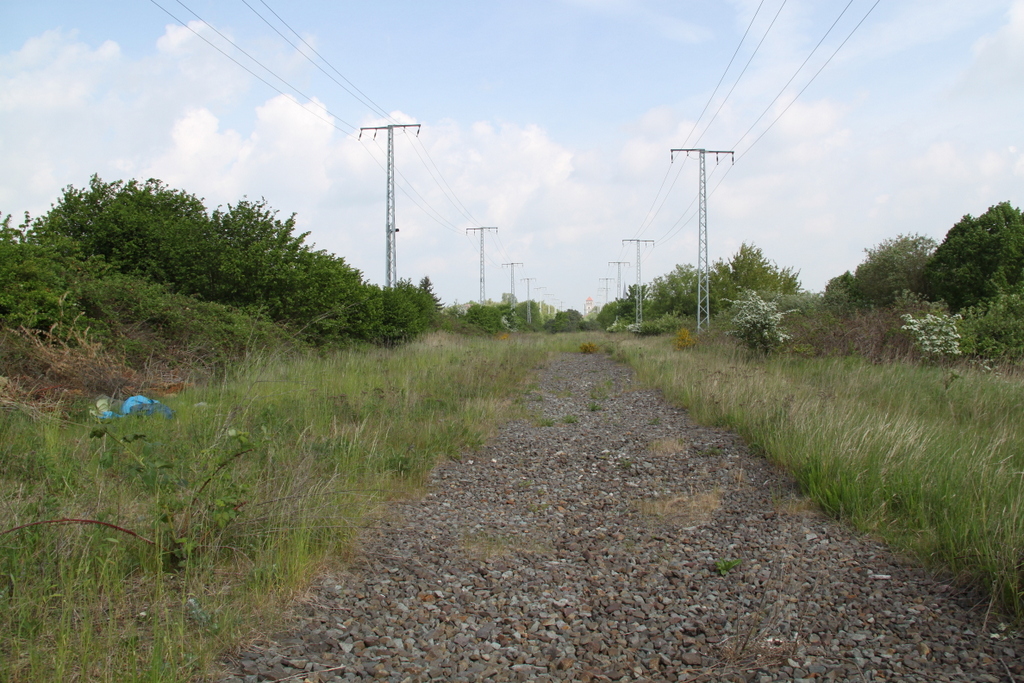 Blick auf das ehemalige Streckengleis zum Rostocker Friedrich-Franz-Bahnhof
2001 wurden dann die Gleise entfernt es gab sogar Plne die S-Bahn bis in die Rostocker Innenstadt fahren zu lassen.Foto vom 21.05.2016