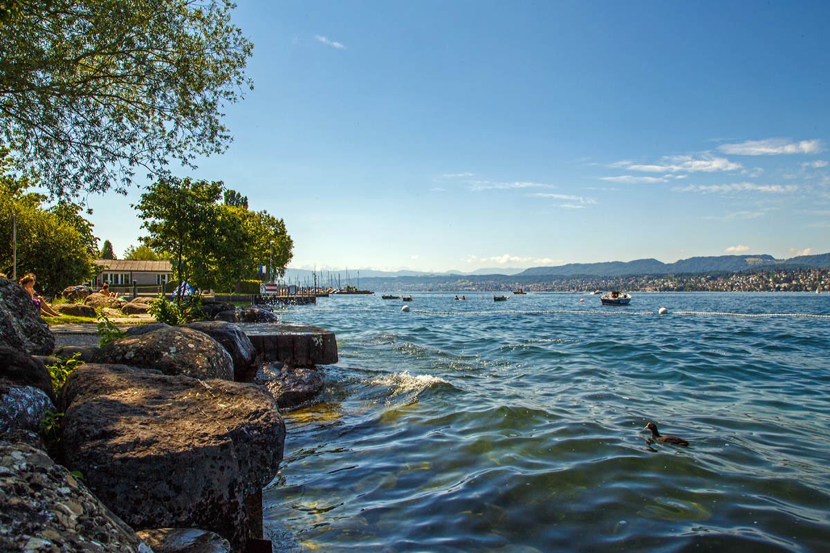 
Blick über den Zürichsee bei Zürich-Tiefenbrunnen am 07.06.2014. 
Hier sind es über 30 Grad im Schatten und in der Ferne auf den Gipfeln der Alpen liegt noch der Schnee.