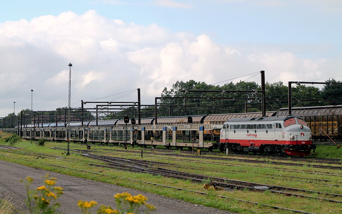 Captrain/Railcare Litra MY 1134 hat hier mit dem BLG Leerzug Einfahrt in Pattburg/DK. 04.08.17