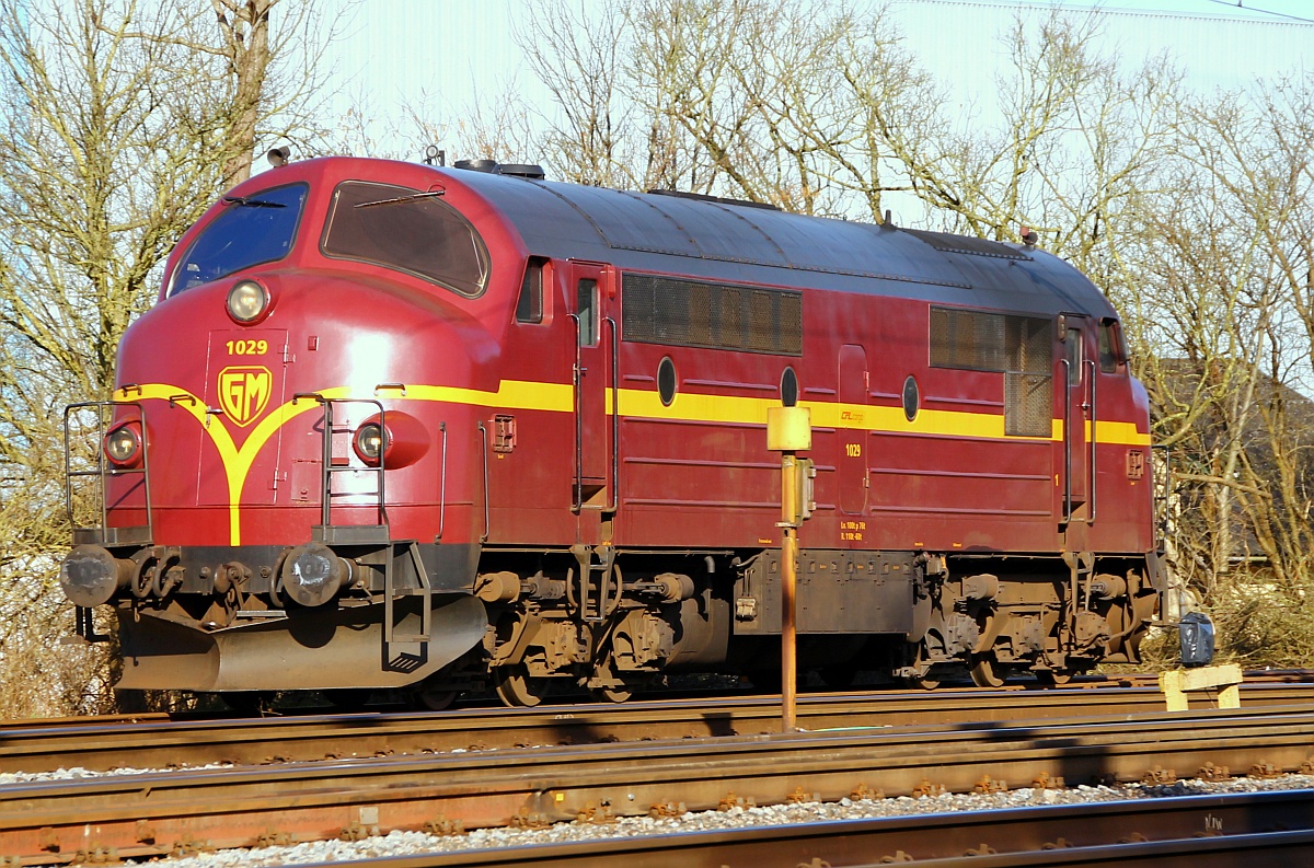 CFL Cargo Litra MX 1029 aufgenommen während einer Rangierfahrt im Bhf Padborg. 08.03.2014