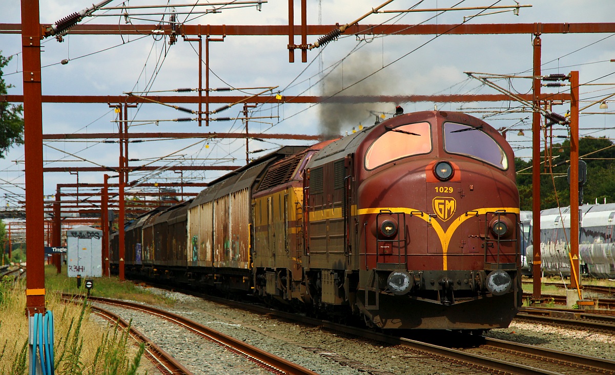 CFLCD Litra MX 1029 und 1831 mit Schiebewandwagenzug gen Pattburg aufgenommen bei der Durchfahrt in Tingelv. 08.08.2022