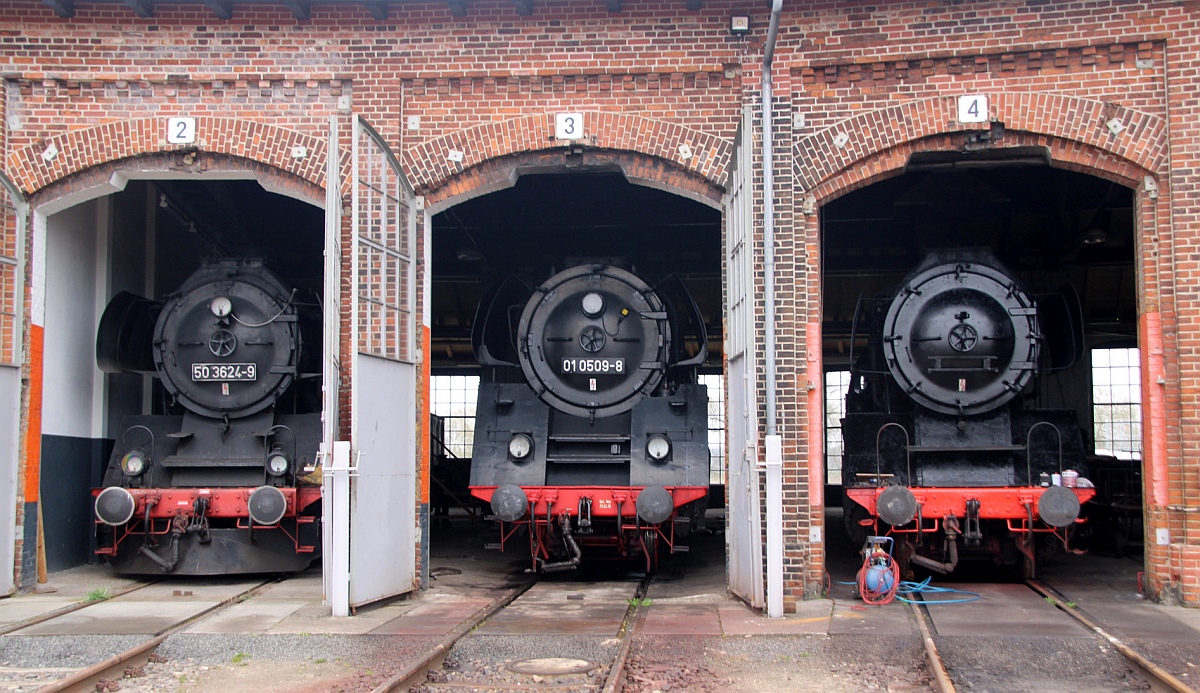 Dampfloks 50 3624-9, 01 0509-8 und eine unbekannte Lok, Historischer Lokschuppen Wittenberge 08.04.2023   D.P/M.S