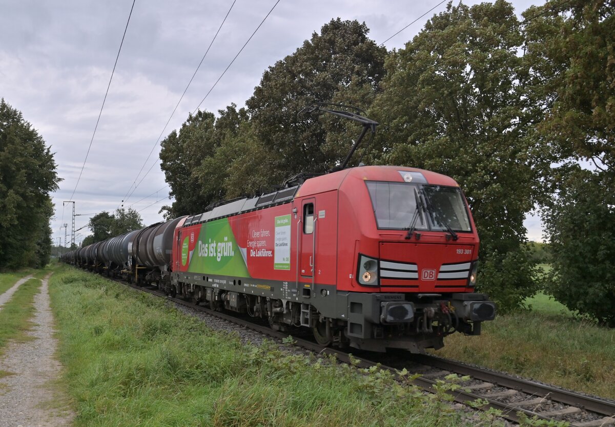 Das ist grün 193 301mit Kesselwagen im Nacken am Nixhof gen Dülken fahrend. 21.9.2023