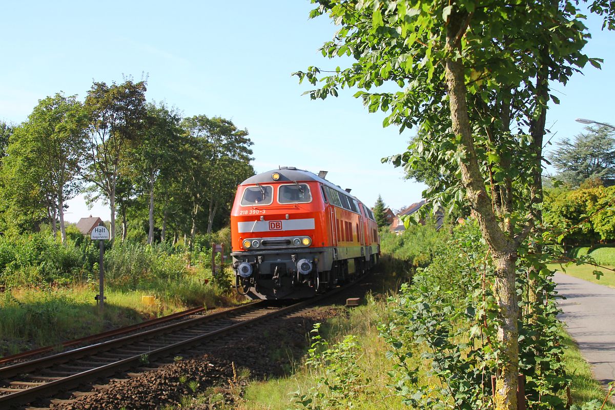 DB 218 390 + 218 345 vor Autozug aus Westerland, aufgenommen in Höhe des Bw Niebüll 19.08.2022 