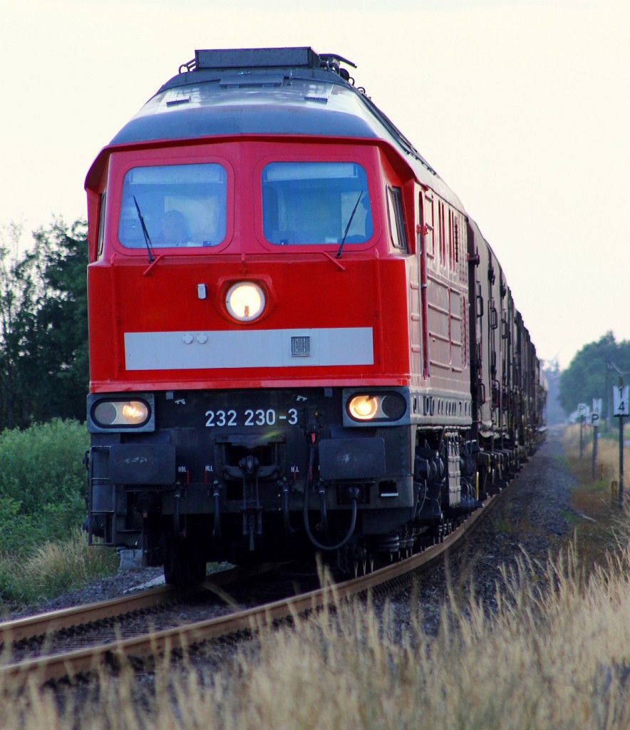 DB 232 230-3 mit dem EZ 47421(Esbjerg-Maschen) aufgenommen in Jübek-Nord. 20.07.2015