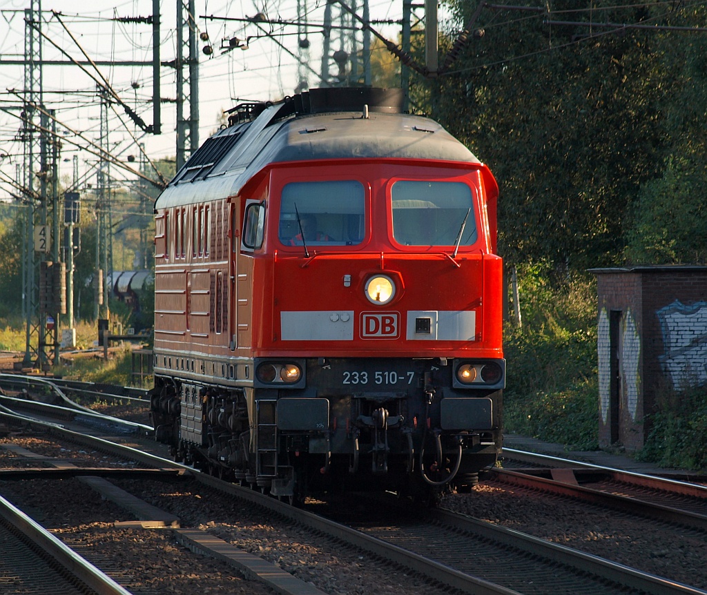 DB 233 510-7 fuhr in fotografenfreundlichem Tempo an uns in Harburg vorbei. 30.09.11