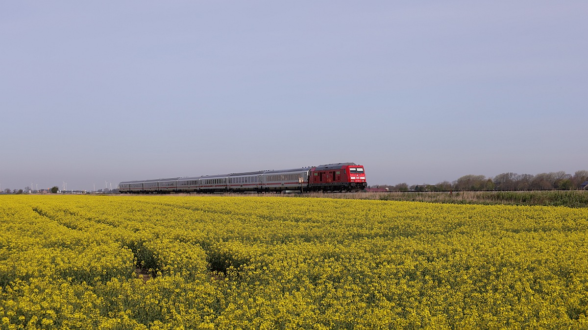 DB 245 026 mit dem IC 2311 aufgenommen am Bü 143 Triangel (km 202,662) bei Langstoft/Niebüll 01.05.2023 