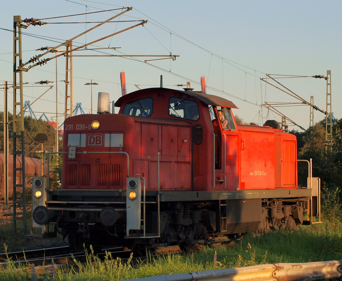 DB 291 038-8 bei einer Rangierfahrt am Hansa-Port/Hamburger Hafen Waltershof. 30.09.2011(üaVinG)