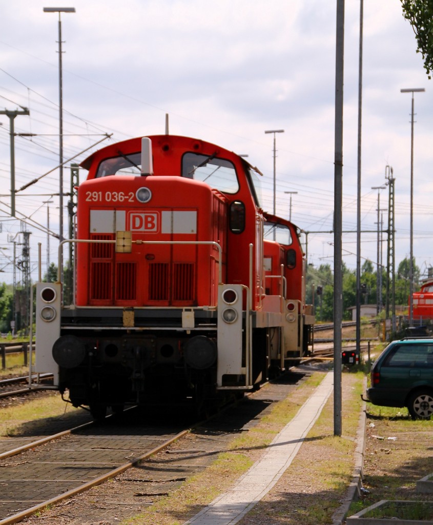 DB 3291 036-2 stand mit einer Schwesterlok abgestellt am Stellwerk HH-Alte Süderelbe. 29.05.2014