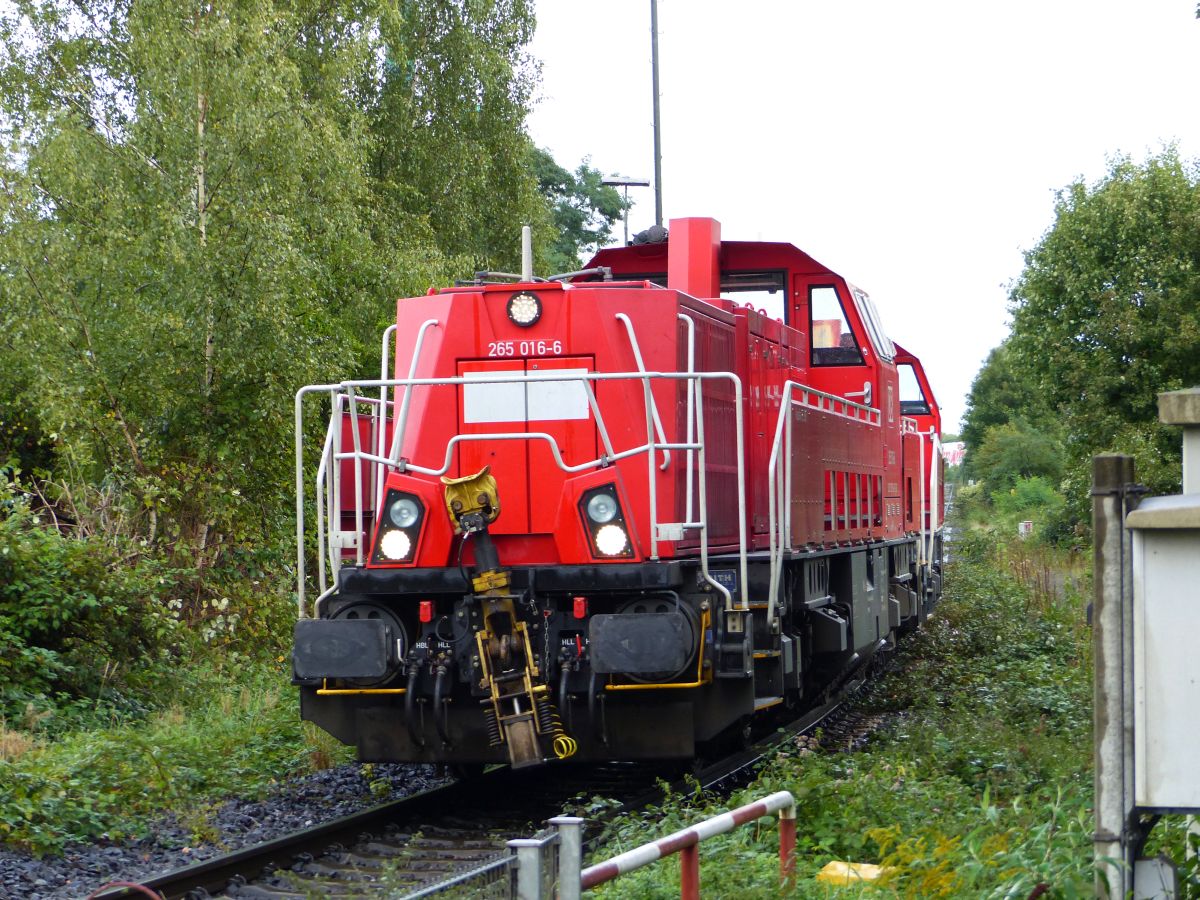 DB Cargo dieselloc 265 016-6 mit Schwesterlok Atroper Straße, Duisburg 14-09-2017.

DB Cargo dieselloc 265 016-6 met zusterloc Atroper Straße, Duisburg 14-09-2017.