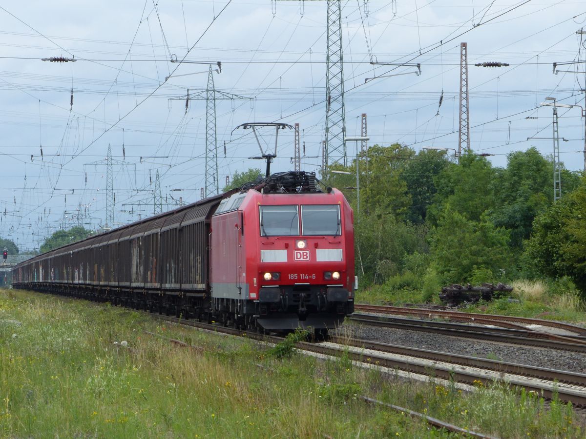 DB Cargo Lokomotive 185 114-6 Kalkumerstrasse, Lintorf 09-07-2020.

DB Cargo locomotief 185 114-6 Kalkumerstrasse, Lintorf 09-07-2020.